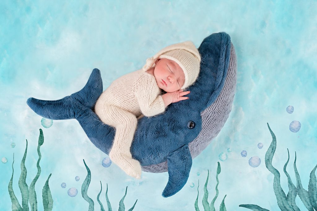 newborn baby boy riding a jellycat soft toy plush whale on a painted backdrop with seaweed and bubbles by Horsham Photographer