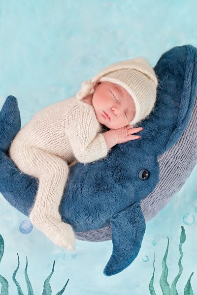 newborn baby boy riding a jellycat soft toy plush whale on a painted backdrop with seaweed and bubbles by Horsham Photographer